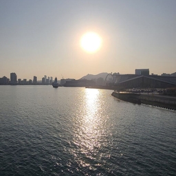 피드에 업로드 된 이미지