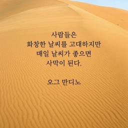 피드에 업로드 된 이미지