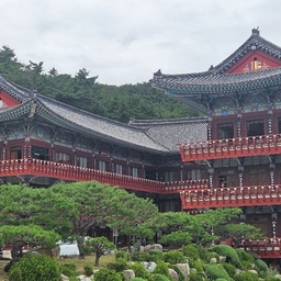 피드에 업로드 된 이미지