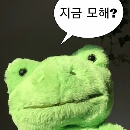피드 이미지