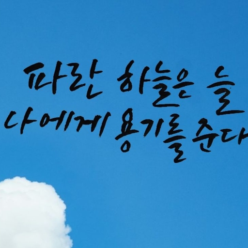 피드 이미지