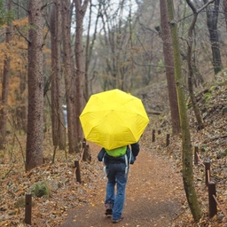 피드에 업로드 된 이미지