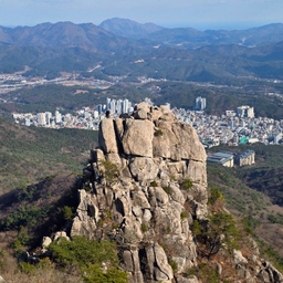 피드에 업로드 된 이미지