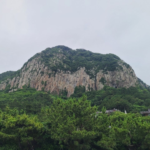 피드 이미지