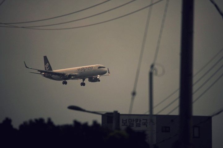 피드 이미지