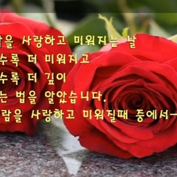 피드에 업로드 된 이미지