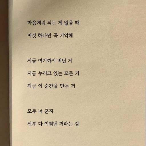 피드 이미지