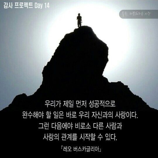 피드 이미지