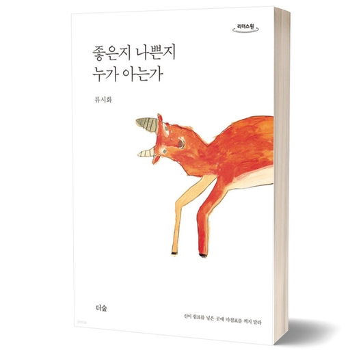 피드 이미지