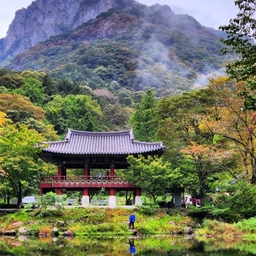 피드에 업로드 된 이미지