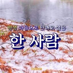 피드에 업로드 된 이미지