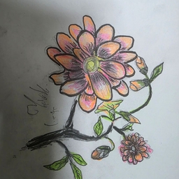 피드에 업로드 된 이미지