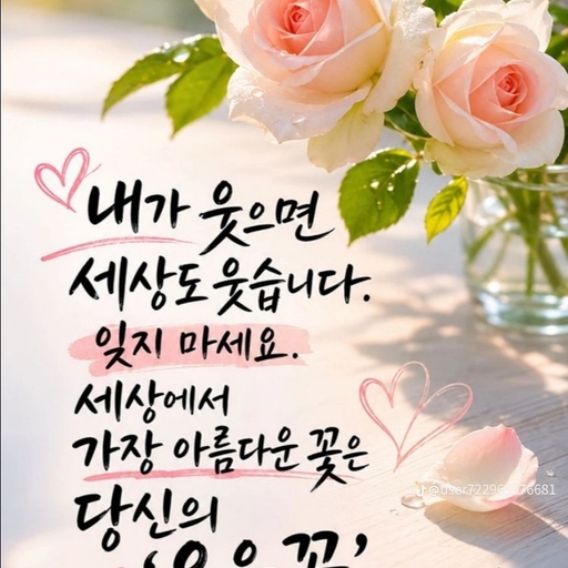 피드 이미지