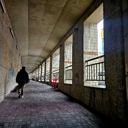 피드에 업로드 된 이미지