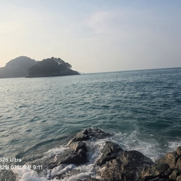 피드에 업로드 된 이미지