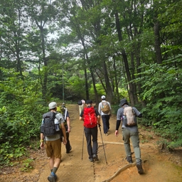 피드에 업로드 된 이미지
