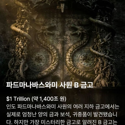 피드 이미지