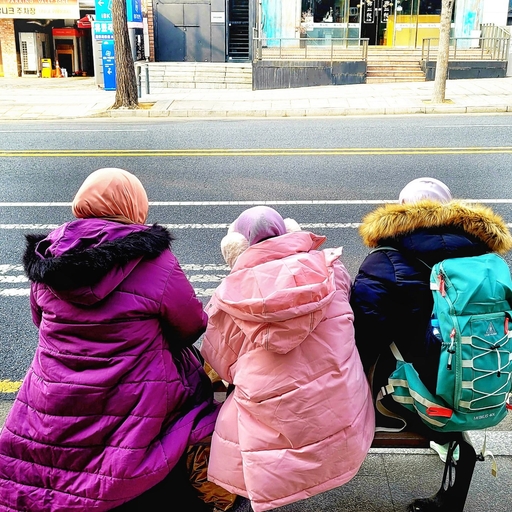 피드 이미지