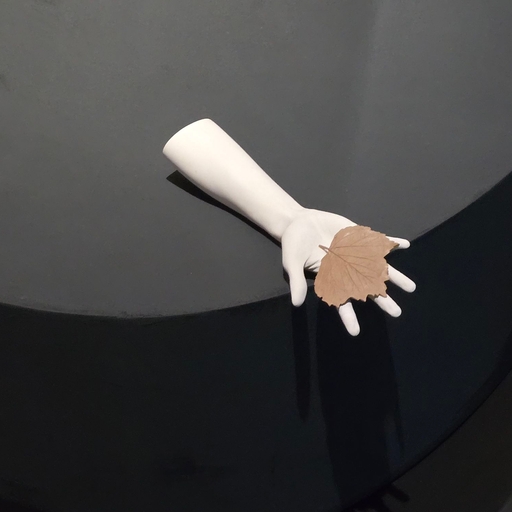 피드 이미지