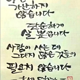 피드에 업로드 된 이미지