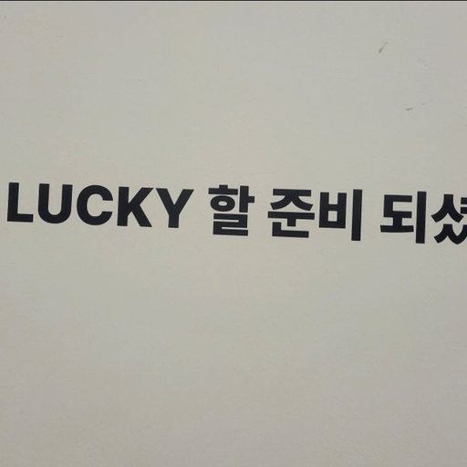피드 이미지