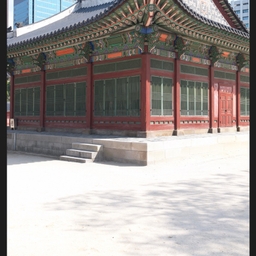 피드에 업로드 된 이미지