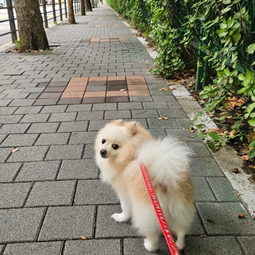 피드 이미지