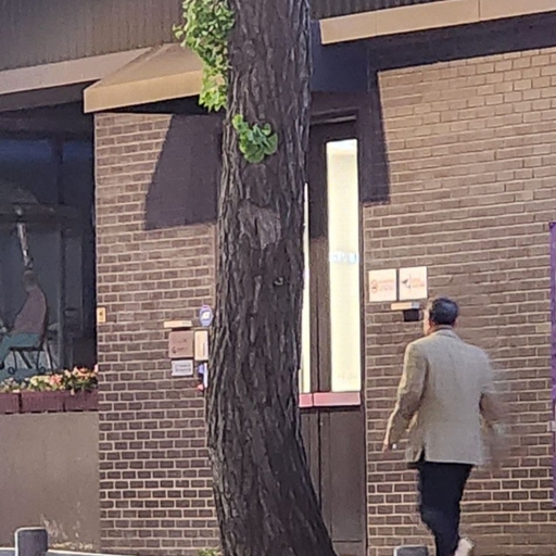 피드 이미지