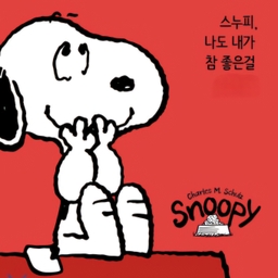 피드에 업로드 된 이미지
