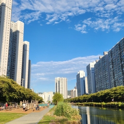 피드에 업로드 된 이미지