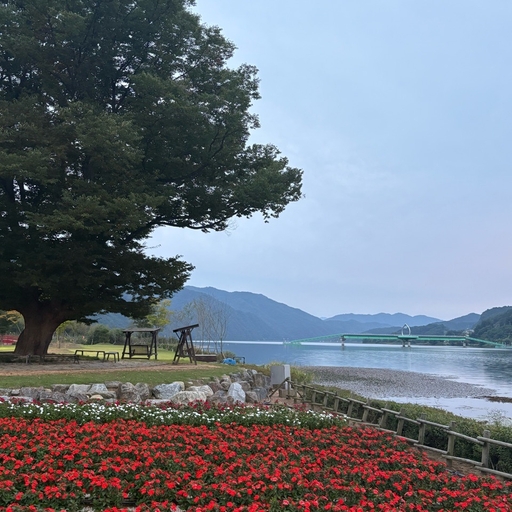 피드 이미지