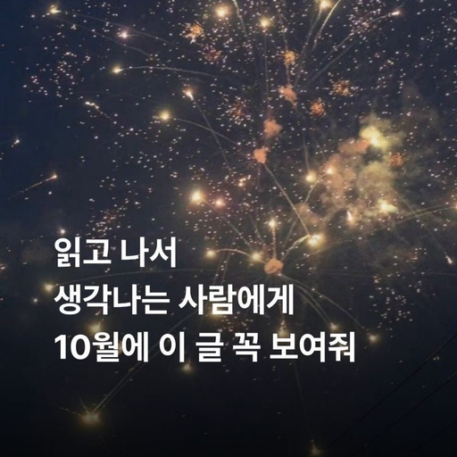 피드 이미지
