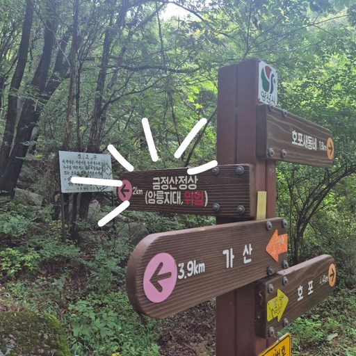 ํผ๋ ์ด๋ฏธ์ง