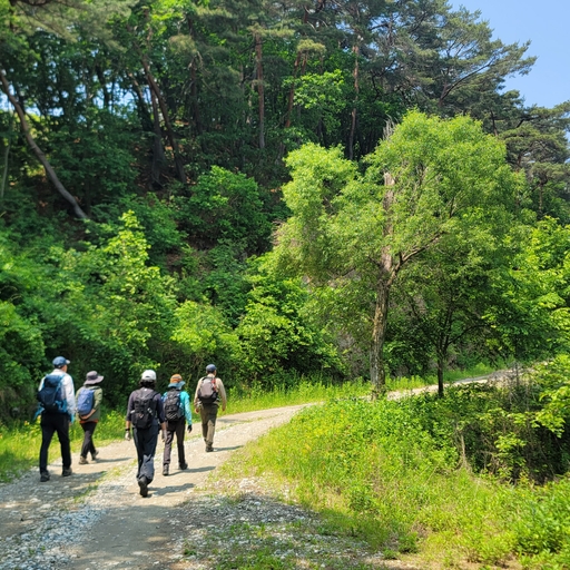 모임 대표 이미지