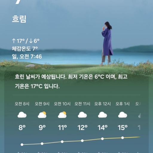 피드 이미지