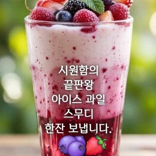 피드 이미지