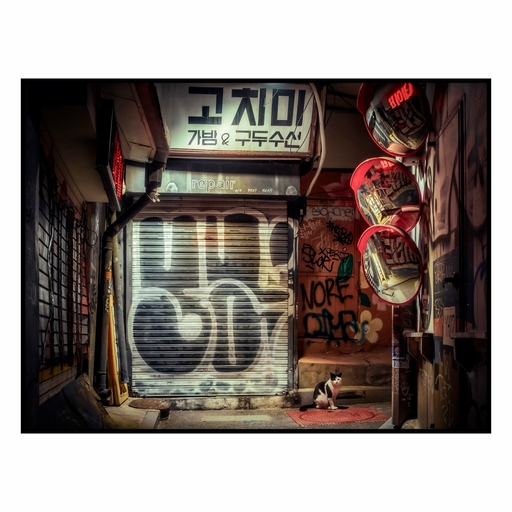 피드 이미지