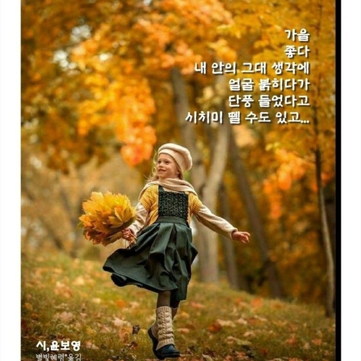 피드 이미지