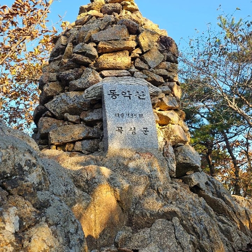피드 이미지