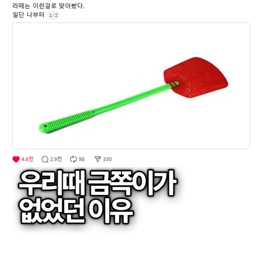 피드 이미지