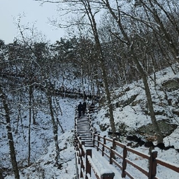 피드에 업로드 된 이미지