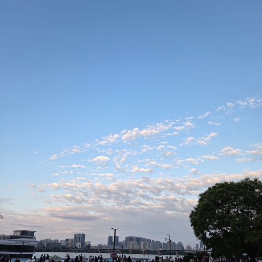 피드 이미지