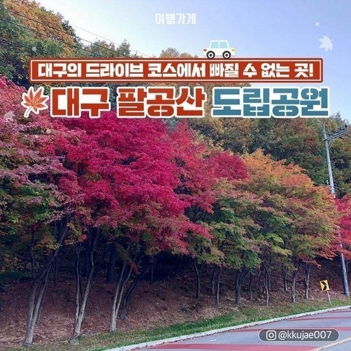 피드 이미지