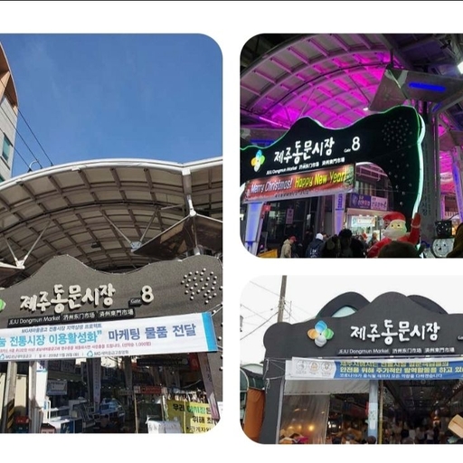 피드 이미지