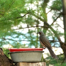 피드에 업로드 된 이미지