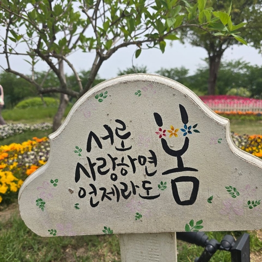 피드 이미지