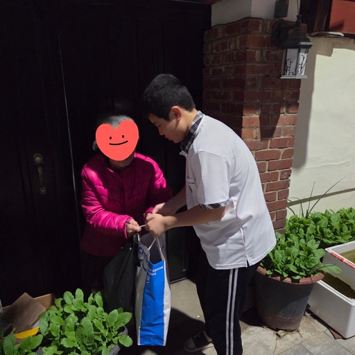 피드 이미지