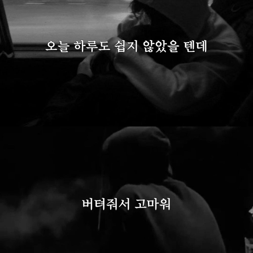 피드 이미지