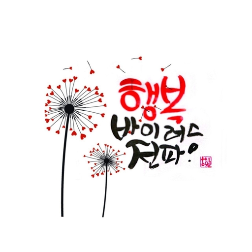 피드 이미지