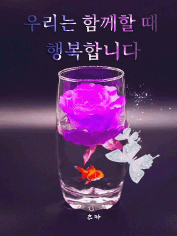 피드에 업로드 된 이미지